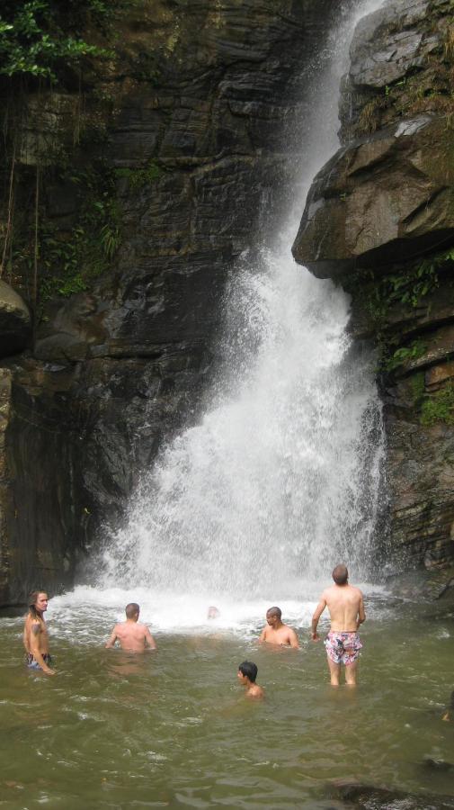 Spiritual Nature Farm - Sri Lanka ماتالي المظهر الخارجي الصورة